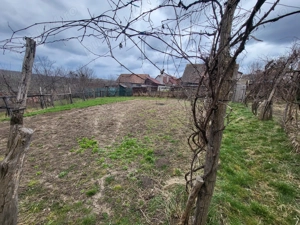 Casă, curte și gradină de vânzare, comuna Alțâna, la 36 km de Sibiu  - imagine 4
