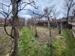 Casă, curte și gradină de vânzare, comuna Alțâna, la 36 km de Sibiu  - imagine 5