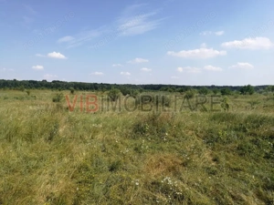 Baneasa - Piscul Reghiului, teren intravilan, suprafata 727 mp - imagine 2