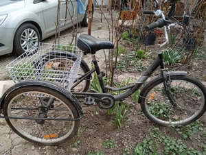 Triciclu Velors Senior  24