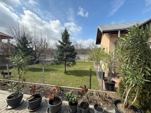 Casa de vanzare Caciulati Moara Vlasiei - imagine 6