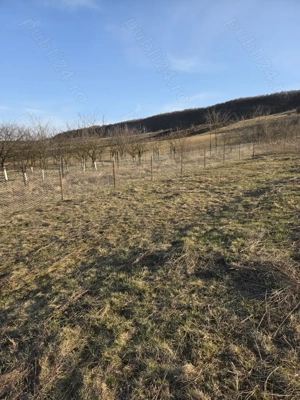 Vând teren intravilan 