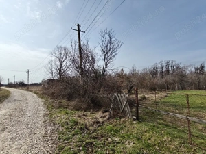 Teren Intravilan 1.472 mp Cotmeana - Lintești, Utilități la gard, lângă Pădure