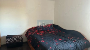 Proprietate cu doua imobile, com. Dragutesti. Comision 0% - imagine 14