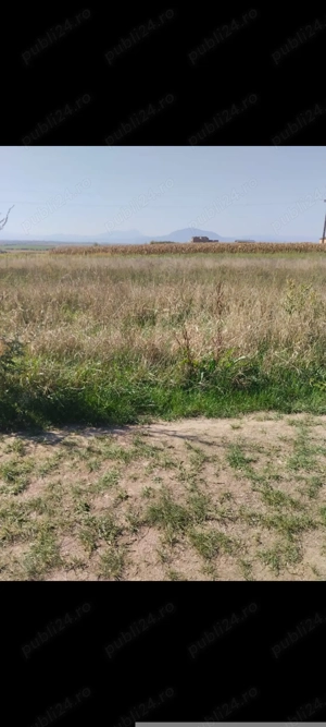 Vând teren intravilan Feldioara 