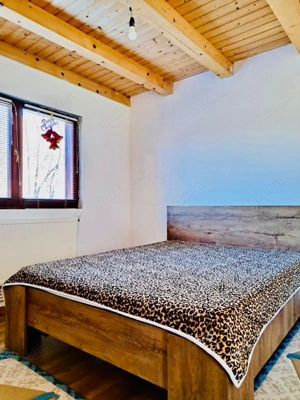 CASA DE VACANTA//ZONA BREAZA//OCINA DE JOS - imagine 5