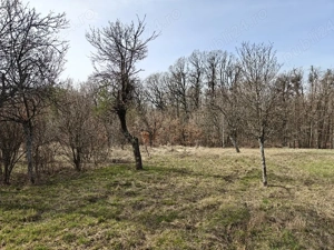 Teren Intravilan 1.472 mp Cotmeana - Lintești, Utilități la gard, lângă Pădure - imagine 9