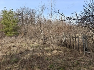 Teren Intravilan 1.472 mp Cotmeana - Lintești, Utilități la gard, lângă Pădure - imagine 8