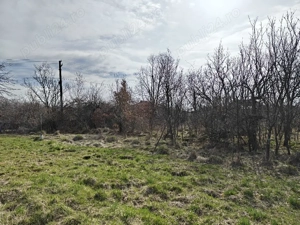 Teren Intravilan 1.472 mp Cotmeana - Lintești, Utilități la gard, lângă Pădure - imagine 6