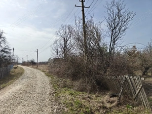 Teren Intravilan 1.472 mp Cotmeana - Lintești, Utilități la gard, lângă Pădure - imagine 7