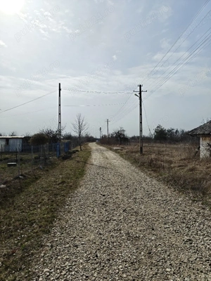 Teren Intravilan 1.472 mp Cotmeana - Lintești, Utilități la gard, lângă Pădure - imagine 10