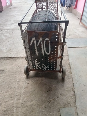 vand scroafa pentru sacrificat - imagine 3