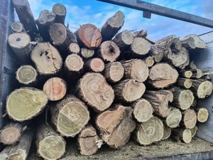 vand lemne de foc esenta tare transport la domiciliu 