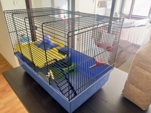 Vând o cușcă pentru hamsteri și cobai - imagine 2