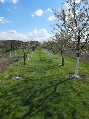 Casă Mihai Bravu, Bihor