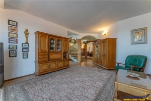 FILM! Castelariu: spectacol panoramic, locatie prestigioasa, exclusivist confort - imagine 19