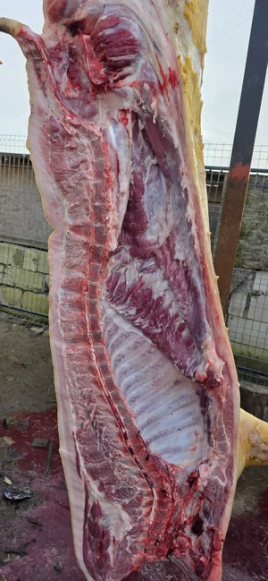 Vand purcei si porci  - imagine 2