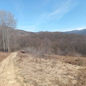 Teren 1-5 Ha Muntele Găina (Luncșoara, Arad)   Pădure & Pășune - imagine 2