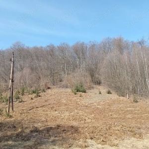 Teren 1-5 Ha Muntele Găina (Luncșoara, Arad)   Pădure & Pășune - imagine 4