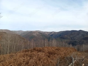 Teren 1-5 Ha Muntele Găina (Luncșoara, Arad)   Pădure & Pășune