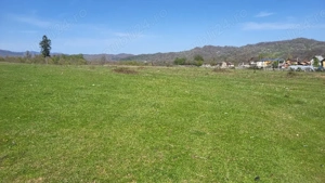 7500mp, intravilan, Voila, Campina - imagine 4