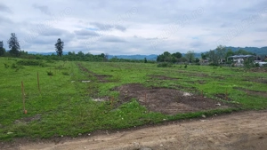 7500mp, intravilan, Voila, Campina - imagine 7