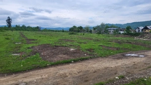 7500mp, intravilan, Voila, Campina - imagine 9