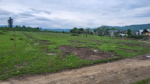 7500mp, intravilan, Voila, Campina - imagine 5