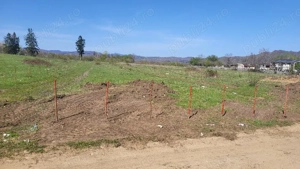 7500mp, intravilan, Voila, Campina - imagine 3