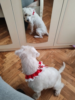 Donez băiețel de 3 ani - imagine 2