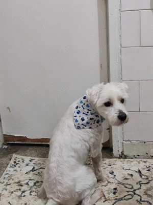 Donez băiețel de 3 ani - imagine 4