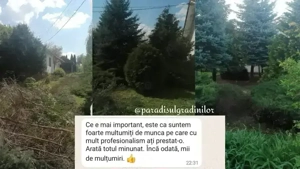 Intretineri spatii verzi