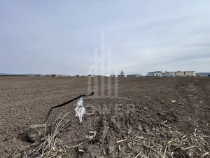 Teren intravilan de vânzare – 10.000 mp – Zona Industrială Vest | Comision 0% - imagine 4