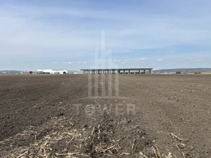 Teren intravilan de vânzare – 10.000 mp – Zona Industrială Vest | Comision 0% - imagine 6