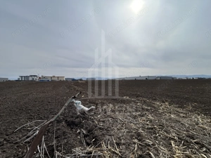 Teren intravilan de vânzare – 10.000 mp – Zona Industrială Vest | Comision 0% - imagine 3