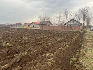 Vand teren intravilan Branistea  - imagine 4