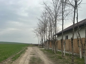 Vand teren intravilan Branistea  - imagine 5