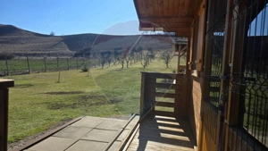 Teren 2,900mp Paucea / Strada Principala - imagine 8