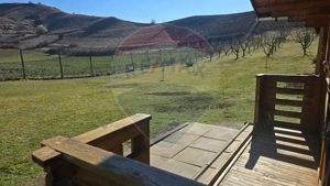 Teren 2,900mp Paucea / Strada Principala - imagine 9