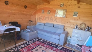 Teren 2,900mp Paucea / Strada Principala - imagine 4