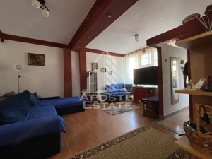 Casa Freidorf Timisoara - imagine 3