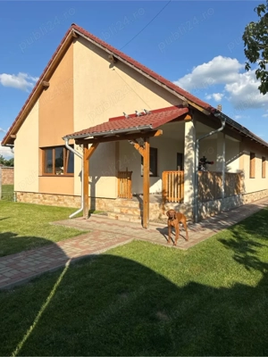 Vand Casa individuala in vatra satului 1200mp - imagine 4