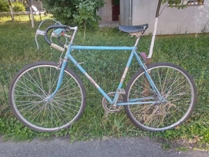 semicursieră pegas torpedo