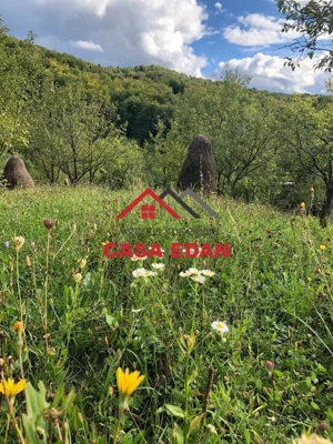 Teren extravilan in Brebu(Pietriceaua)--9104mp--50.000e - imagine 9