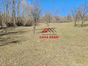 Teren extravilan in Brebu(Pietriceaua)--9104mp--50.000e - imagine 18