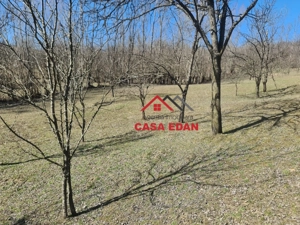 Teren extravilan in Brebu(Pietriceaua)--9104mp--50.000e - imagine 19