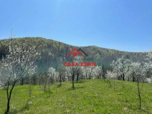 Teren extravilan in Brebu(Pietriceaua)--9104mp--50.000e - imagine 11