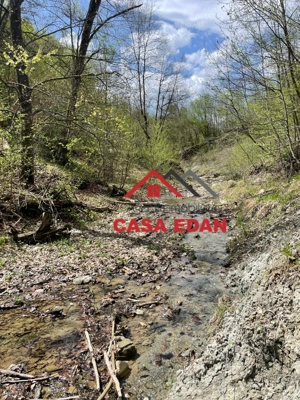Teren extravilan in Brebu(Pietriceaua)--9104mp--50.000e - imagine 14