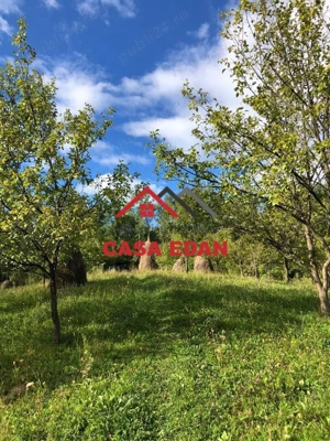 Teren extravilan in Brebu(Pietriceaua)--9104mp--50.000e - imagine 4