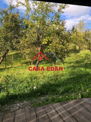 Teren extravilan in Brebu(Pietriceaua)--9104mp--50.000e - imagine 7